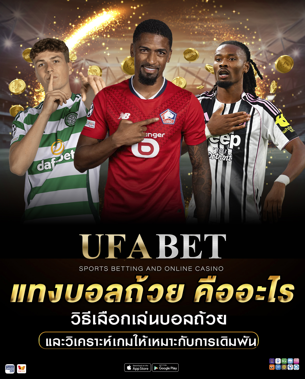 แทงบอลถ้วย คืออะไร